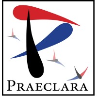 Praeclara: Artistry In Sound, Motion, And Mind