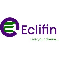 Eclifin Nigeria Limited logo - Similar company to Webstack Ict Global Ltd.
