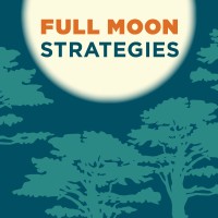 Full Moon Strategies logo - Similar company to Caliber Strategies