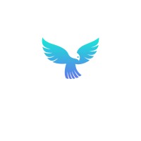 Ulloa Financial logo - Similar company to Shailendra Singh