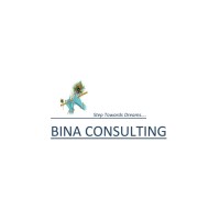 BINA CONSULTING logo - Similar company to S S Construction