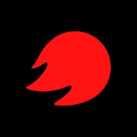 Agnifly Drone Show logo - Similar company to Agifly