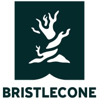 Bristlecone Construction logo - Similar company to Dellecod Assets Limited