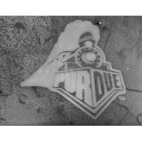 Purdue Electron Microscopy Center logo - Similar company to Imprs Elementary Processes In Physical Chemistry (Imprs-Eppc)