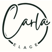 Carla Elage Consultoria e Desenvolvimento de Negócios logo - Similar company to Hümans At Work