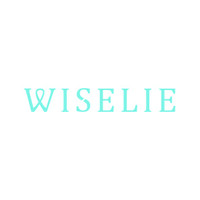 PT. Wiselie Indonesia Gemilang logo - Similar company to Level Garment