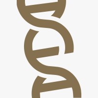 Evidence Manipulação Farmacêutica logo - Similar company to Stik