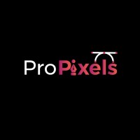 ProPixels logo - Similar company to Propixels