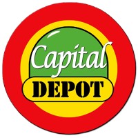 Capital Depot logo - Similar company to Silvicom Inc