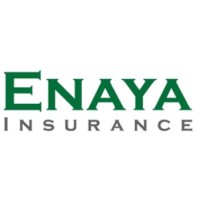 Enaya Insurance Co. logo - Similar company to Tiempo Cero