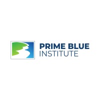 PRIME BLUE Institute logo - Similar company to Project8K