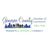 Genesee County Chamber of Commerce logo - Similar company to The Interior Edge