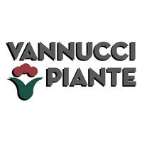 Vannucci Piante logo - Similar company to Mati 1909