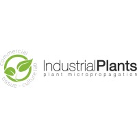 Industrial Plants Ltd. logo - Similar company to Ship Geeks