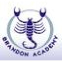 Brandon Academy Inc logo - Similar company to Brandimo