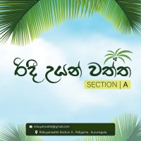 Ridiuyanwatte (Section A) logo - Similar company to Lexius Digital