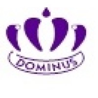 Dominus Micro-Credit logo - Similar company to Tdc