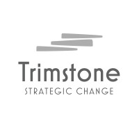 Trimstone Partners logo - Similar company to Netcall