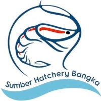 Sumber Hatchery Bangka logo - Similar company to Cp Florida