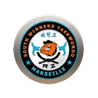 SOUTH WINNERS TAEKWONDO logo - Similar company to 3Mtkd Sport Culture Social
