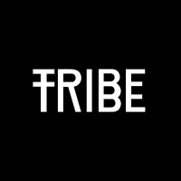 media.tribe logo - Similar company to Fjord Oslo