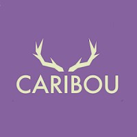 Caribou Financial Consulting logo - Similar company to Mastix Financial Technology