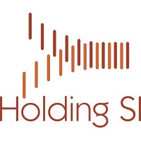 Holding SI logo - Similar company to Grupo Carobra