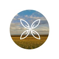 Eurocopter Drones logo - Similar company to Apex Systems