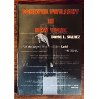 Forever Twilight In New York