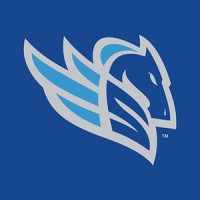 Salt Lake Stallions logo - Similar company to Skywalker Holdings, Llc