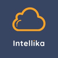 Intellika logo - Similar company to Konsep.Io