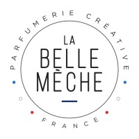La Belle Mèche logo - Similar company to Mastic Paris