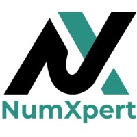 NumXpert logo - Similar company to Prima Expert