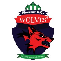 Nascent Football Club logo - Similar company to Westchester Elite Soccer