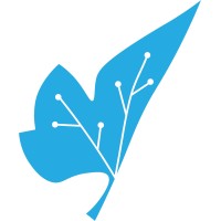Nodex logo - Similar company to Nodex