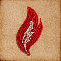 American Indian College Fund logo - Similar company to Native Americans In Higher Education And Mentorship