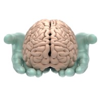 Shakti Neuroscience and MRI Pvt Ltd logo - Similar company to X-Ray House, Roentgen Diagnostics Pvt.Ltd.