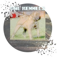 DHL Kennels logo - Similar company to First Pack Services