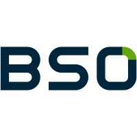 BSO Consulting logo - Similar company to Sakuraenchanted