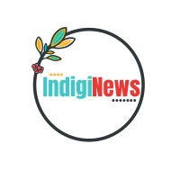 IndigiNews logo - Similar company to The Other Wave