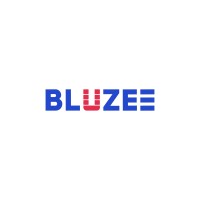 BLUZEE IT CONSULTANTS LLC. logo - Similar company to Cazper Soft
