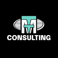 TMT Consulting logo - Similar company to Tmt Consulting