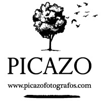 Picazo Fotógrafos