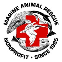 Marine Animal Rescue logo - Similar company to Centro De Conservación De Manatíes Del Caribe