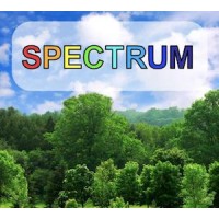 Spectrum Community logo - Similar company to Business Max Consulting Inc.