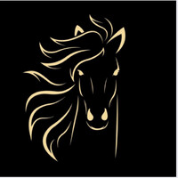 SISU Dark Horse logo - Similar company to Global Partners For Digital Development