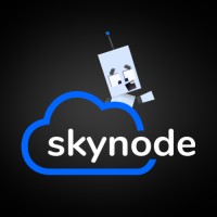 Skynode logo - Similar company to Beastnode Llc