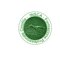 INSCA SRL logo - Similar company to Massive Dynamics Engineering S.R.L.