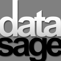 Data Sage logo - Similar company to Cssquare
