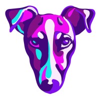 SKIVORI logo - Similar company to Cview Studios Ltd
